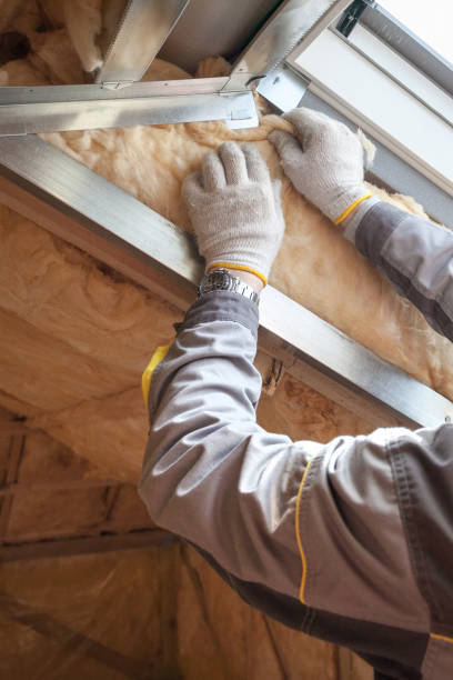 Best Insulation Replacement Services  in Pablo, MT
